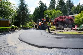 Best Driveway Pressure Washing  in Wanamingo, MN